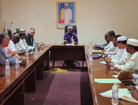 Ministerial meeting around a long conference table in N’Djamena