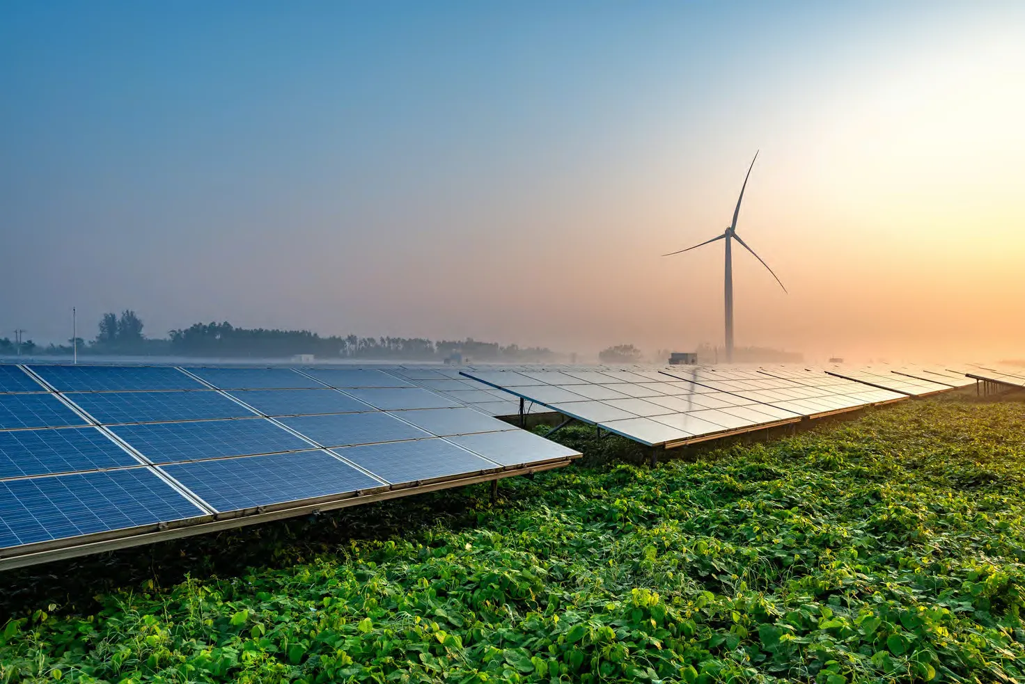 Solar array and wind turbine at dawn